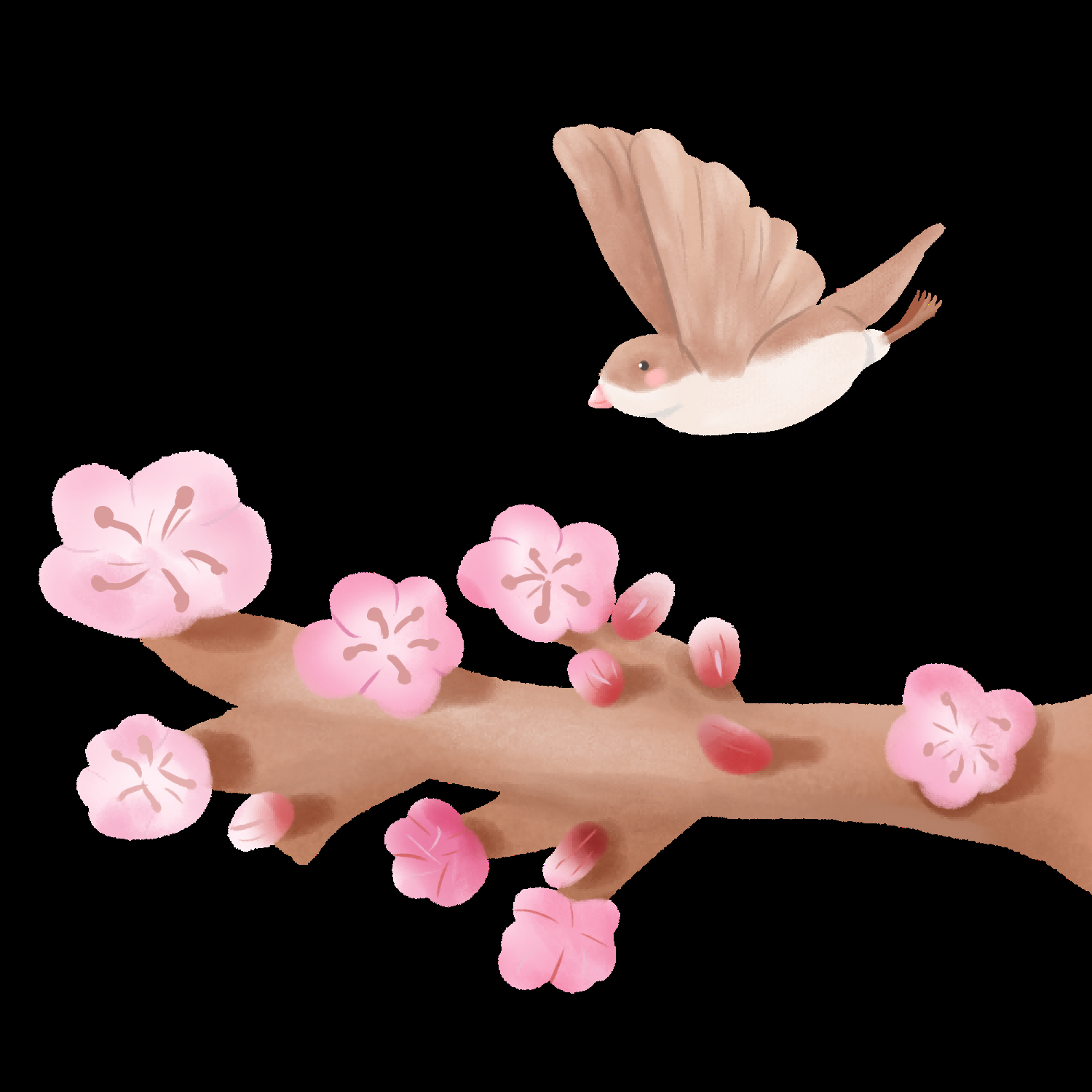 水彩手绘小鸟树枝花枝上的小鸟插画素材免抠45