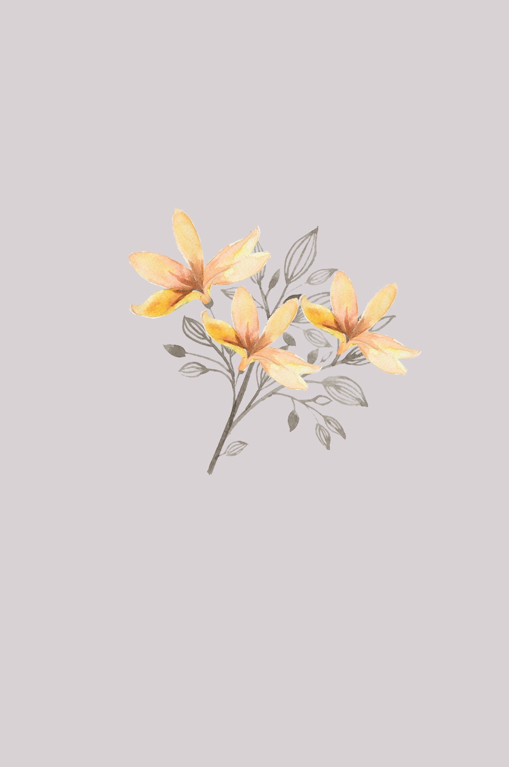 手绘淡雅玉兰花枝花朵装饰元素插图免抠素材47