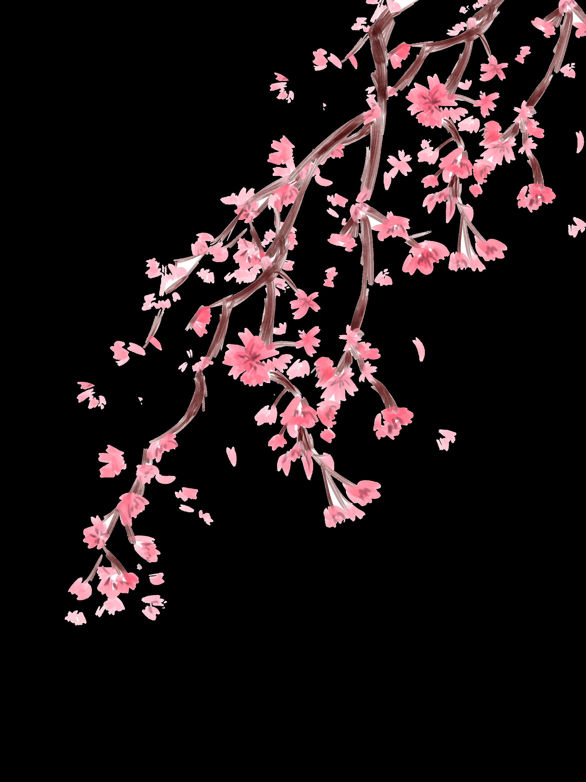 唯美樱花花树花枝樱花飘落图片装饰插图免抠48