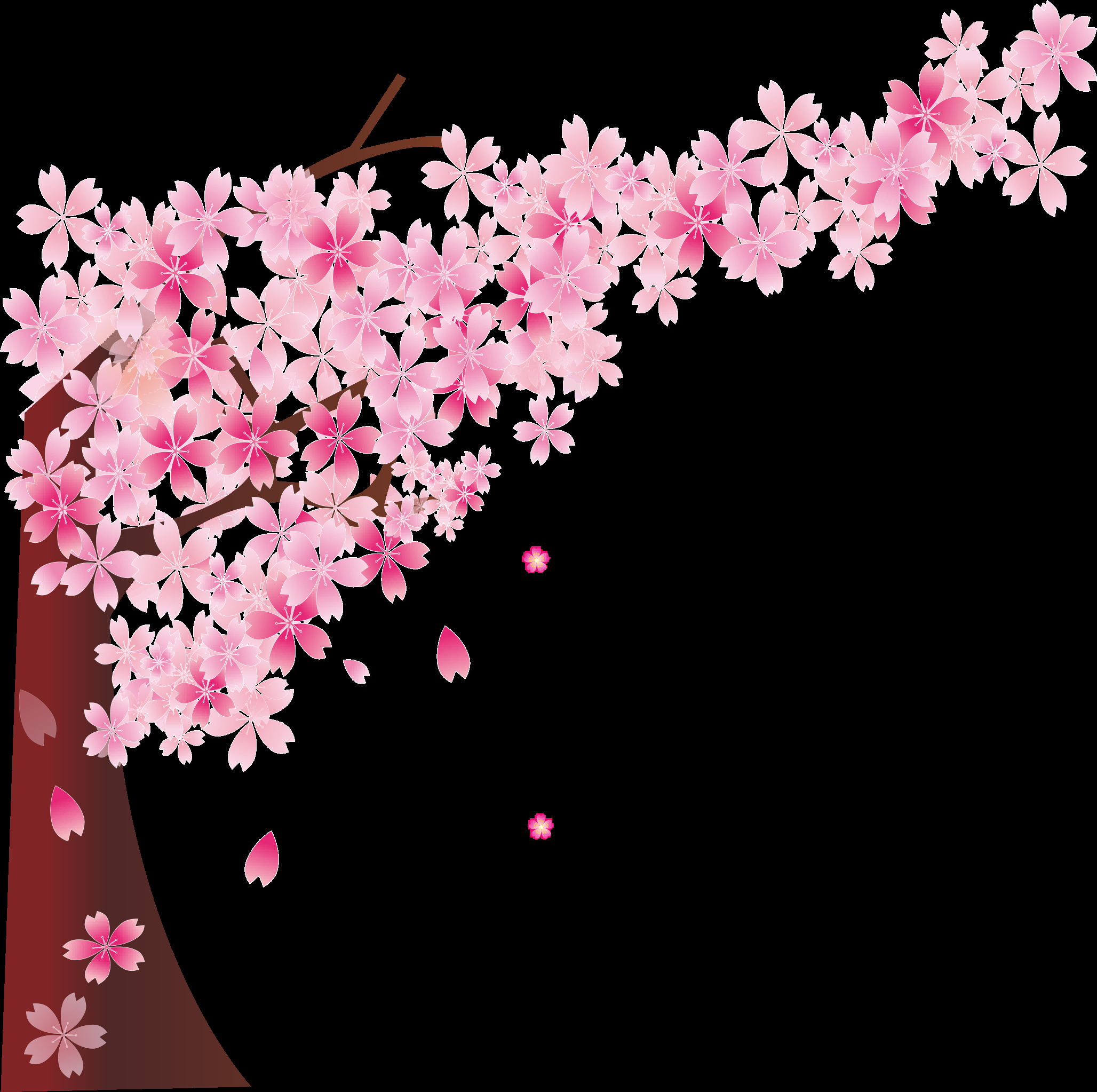 唯美樱花花树花枝樱花飘落图片装饰插图免抠27
