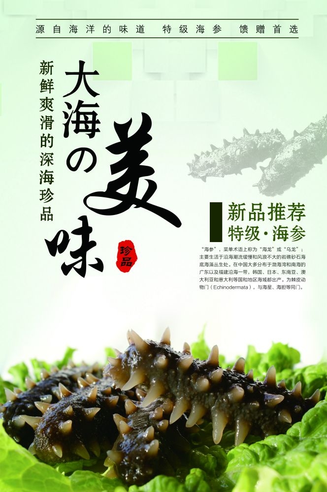 餐饮美食PSD海报背景模板高档食材海参促销宣传单 (7)