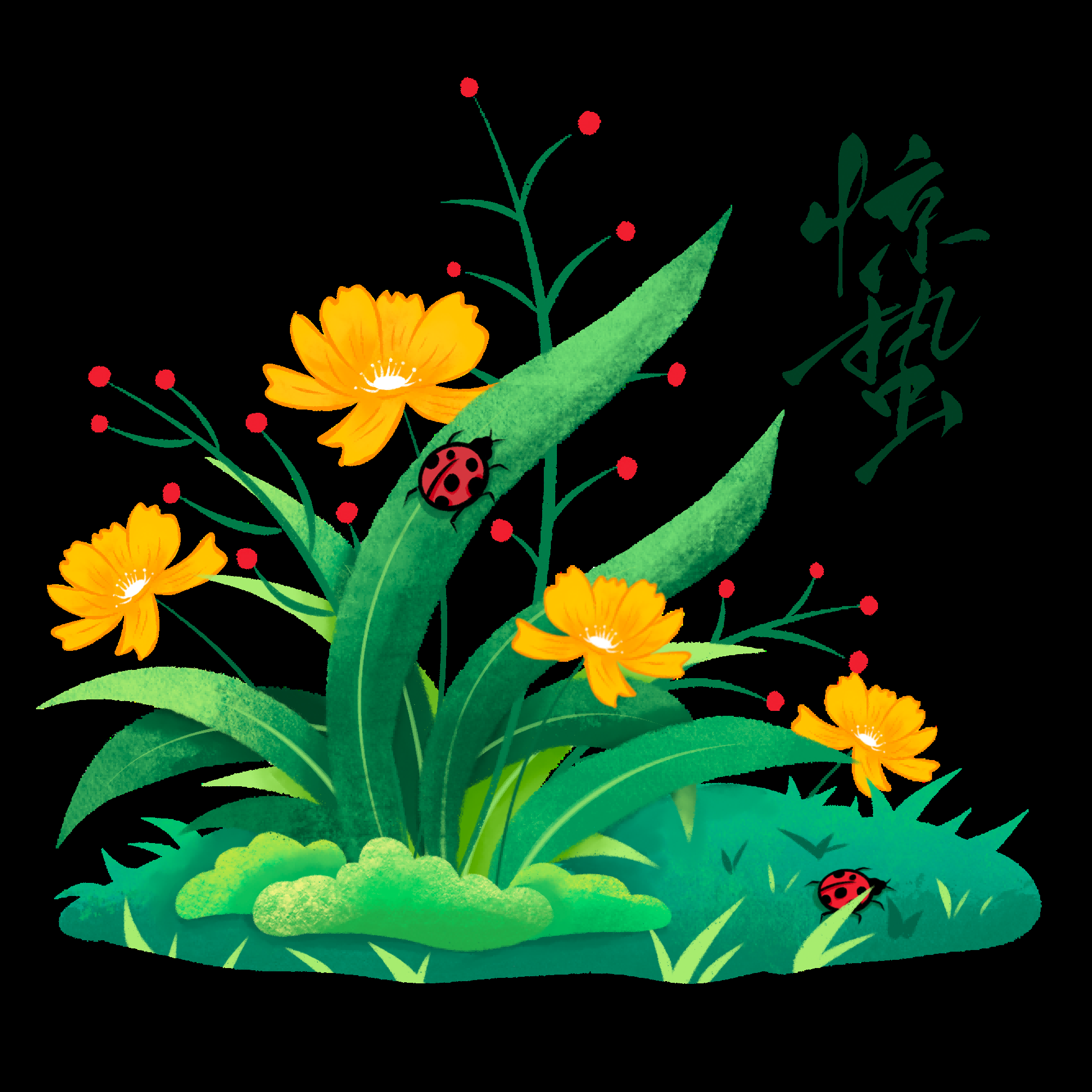 节气惊蛰插画图案素材装饰元素透明背景免抠65