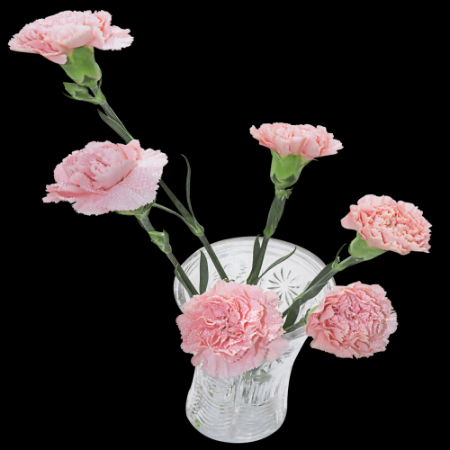 花瓶花艺装饰元素免抠素材27