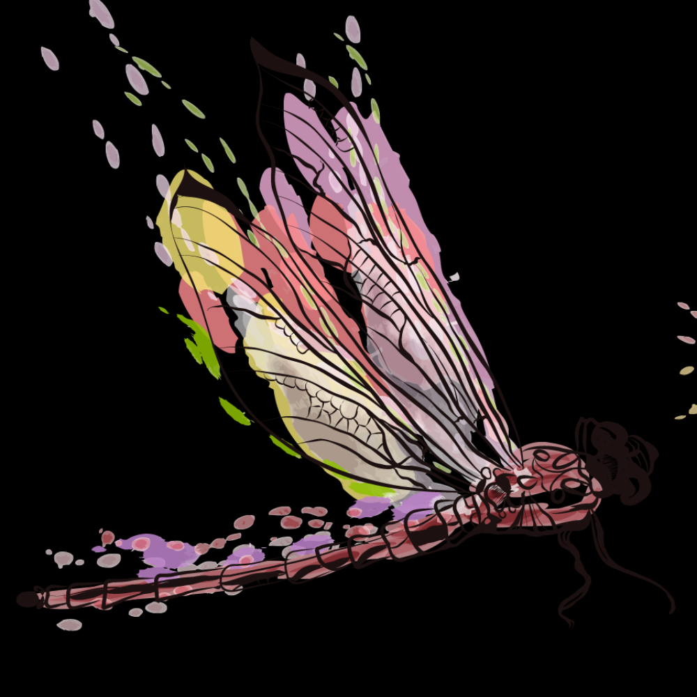 卡通手绘蜻蜓昆虫水墨画插画七彩蜻蜓图案免抠25