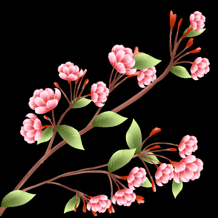 海棠花免抠元素装饰图案插画18