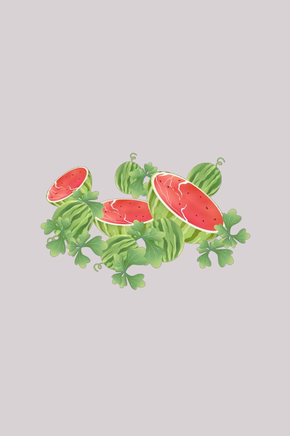 西瓜图片素材手绘西瓜插画装饰插图元素 png透明背景 (47)