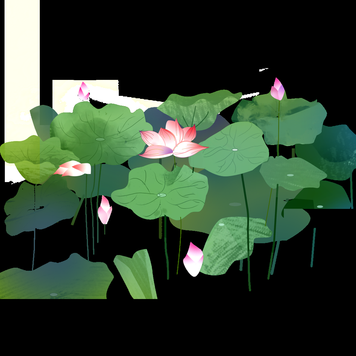 荷叶荷花素材插画装饰元素透明背景免抠素材57