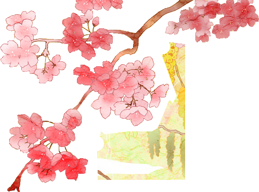 唯美樱花花树花枝樱花飘落图片装饰插图免抠11