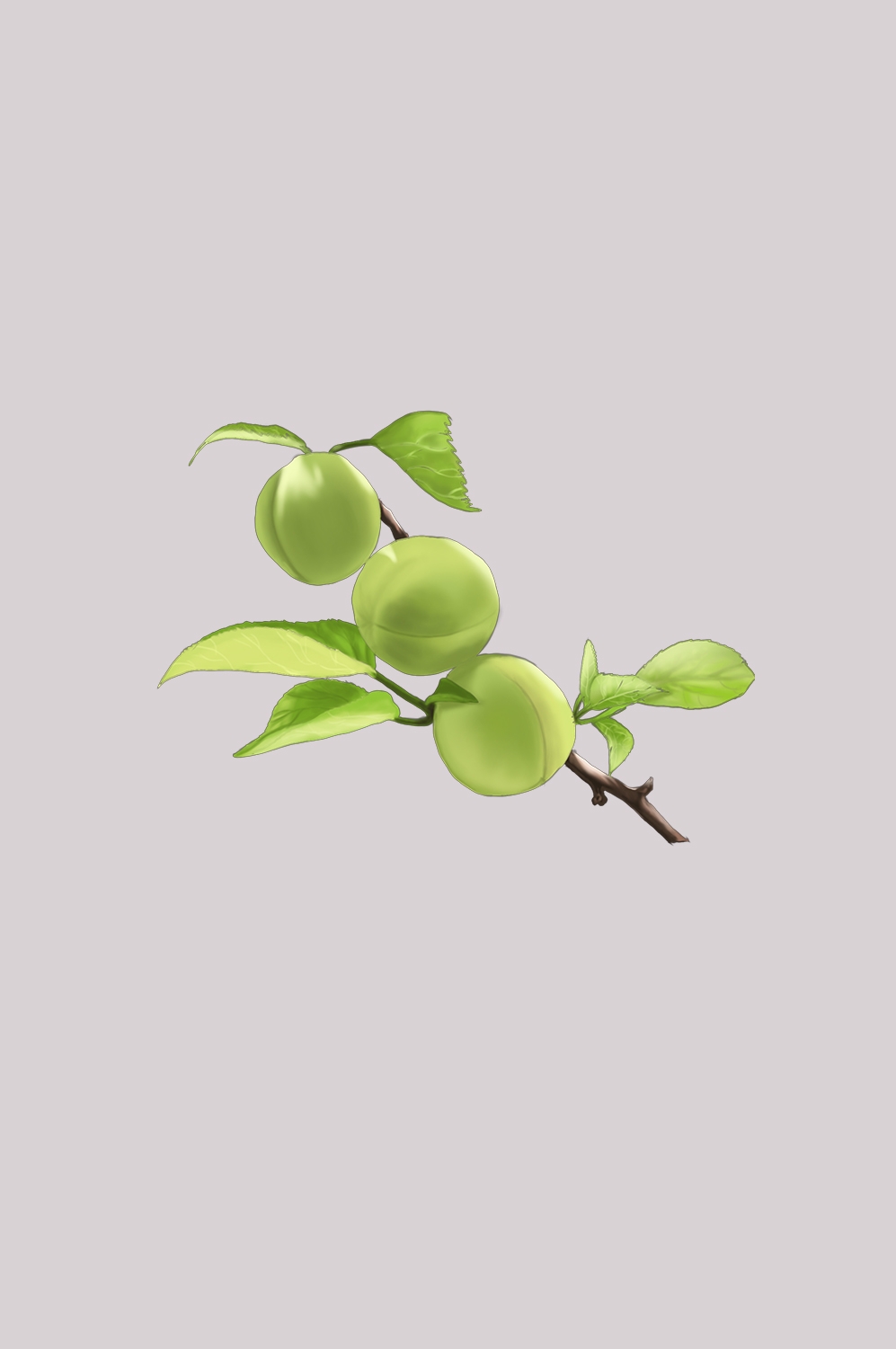 卡通手绘水果青梅图案素材图片装饰插画免抠24