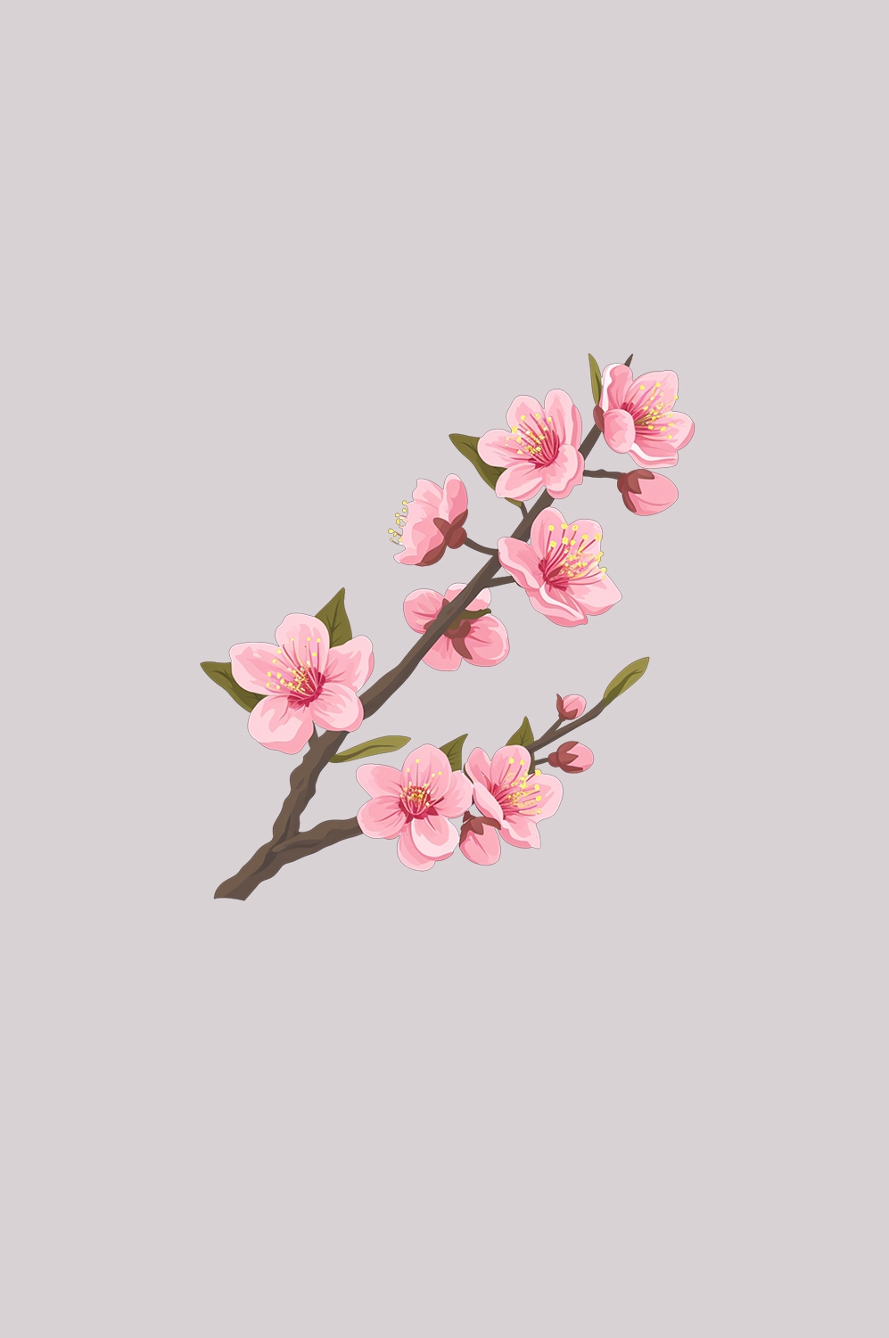 桃花素材图中国风海报设计桃树花枝透明背景6