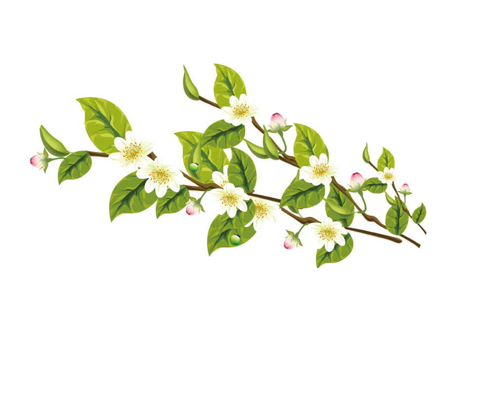 卡通手绘桂花花枝图案素材元素17