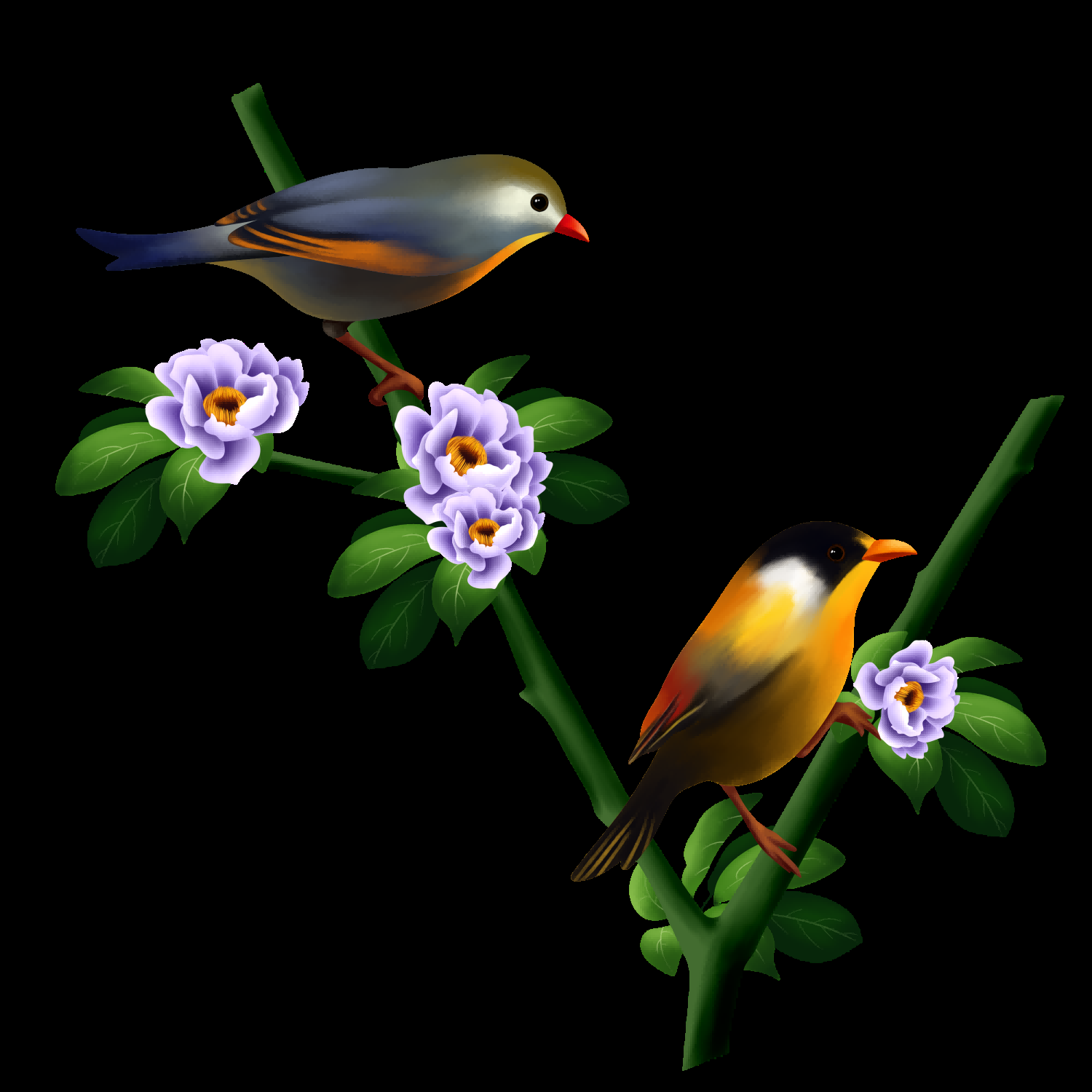 水彩手绘小鸟树枝花枝上的小鸟插画素材免抠23