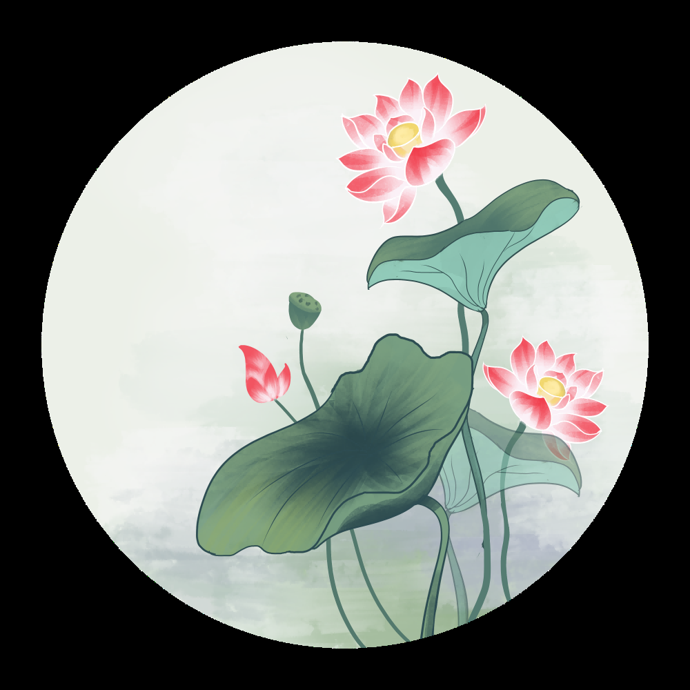 荷叶荷花素材插画装饰元素透明背景免抠素材38