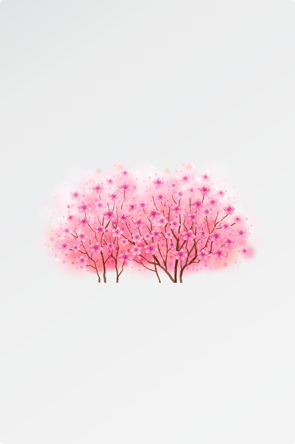 唯美樱花花树花枝樱花飘落图片装饰插图免抠6