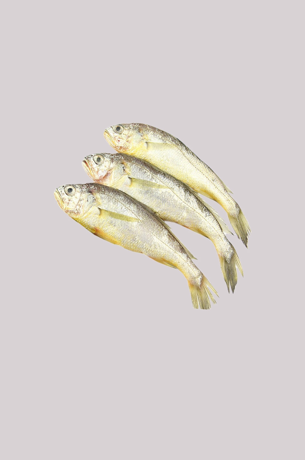 海鲜食材带鱼黄鱼素材图片元素插图免抠30