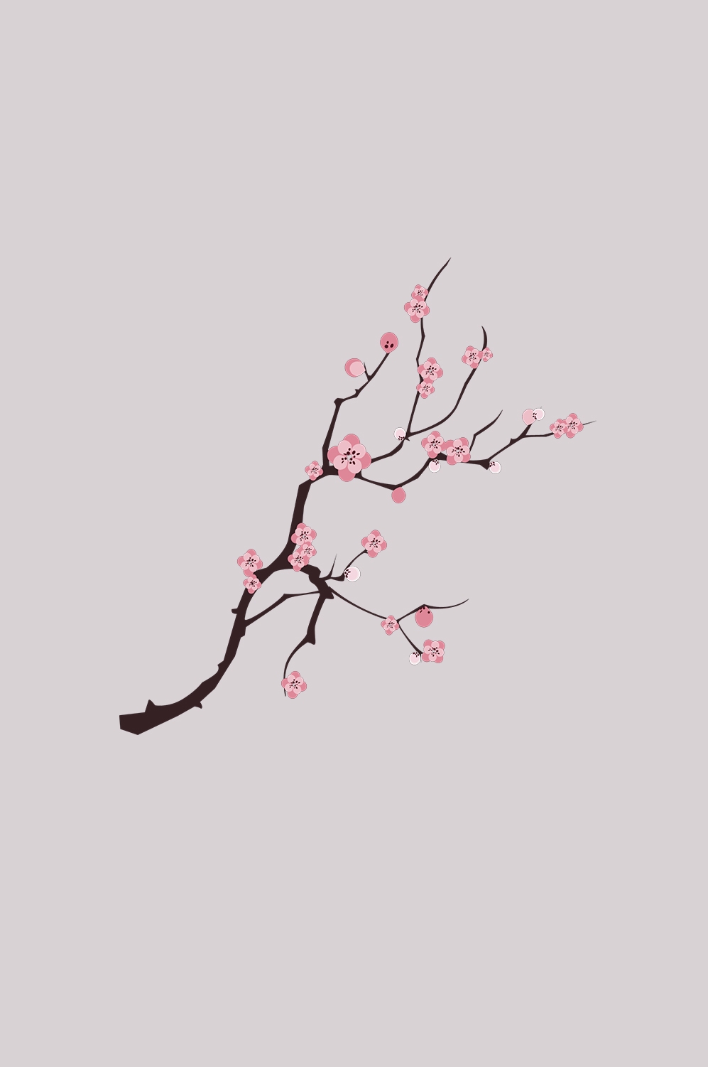 桃花素材图中国风海报设计桃树花枝透明背景28