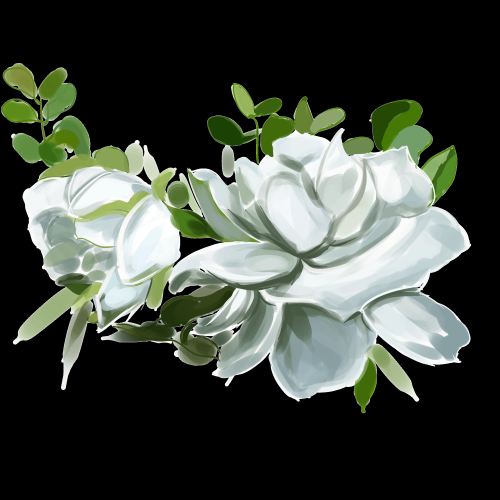 清新淡雅栀子花朵图片素材免抠元素18