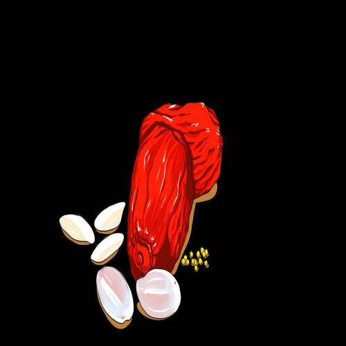 卡通手绘红枣图片素材装饰元素插画 png透明背景 (72)