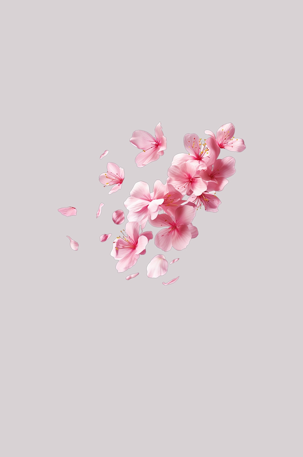 桃花素材图中国风海报设计桃树花枝透明背景90