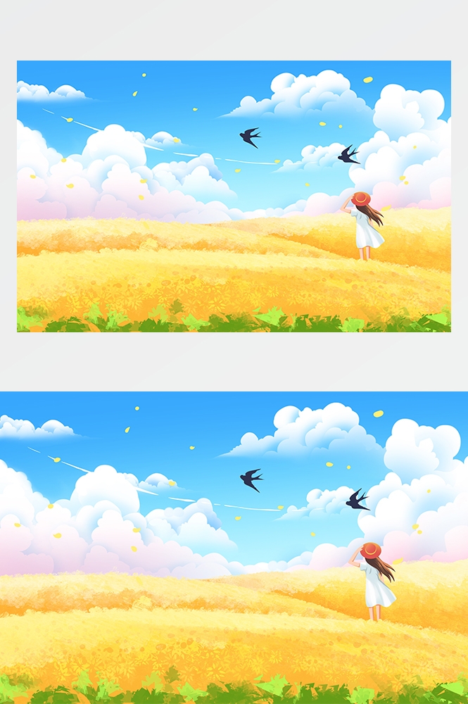 油菜花开田野风景背景插画图片banner海报7