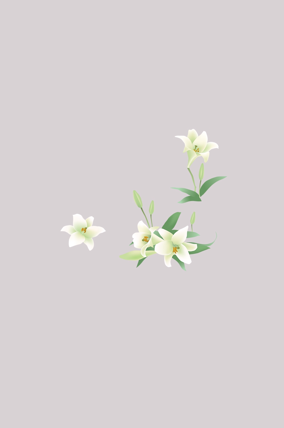 百合花免抠素材34