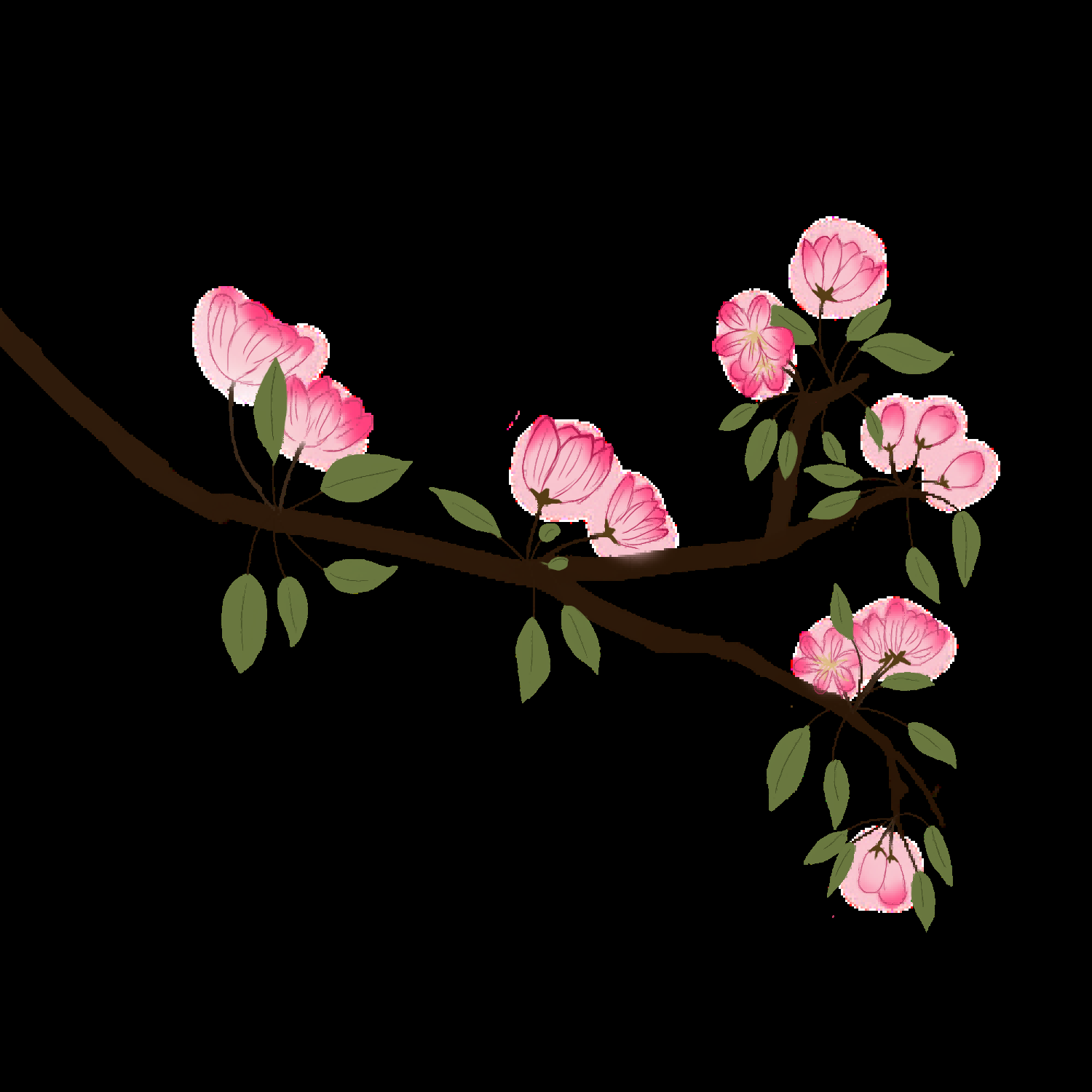 海棠花免抠元素装饰图案插画31