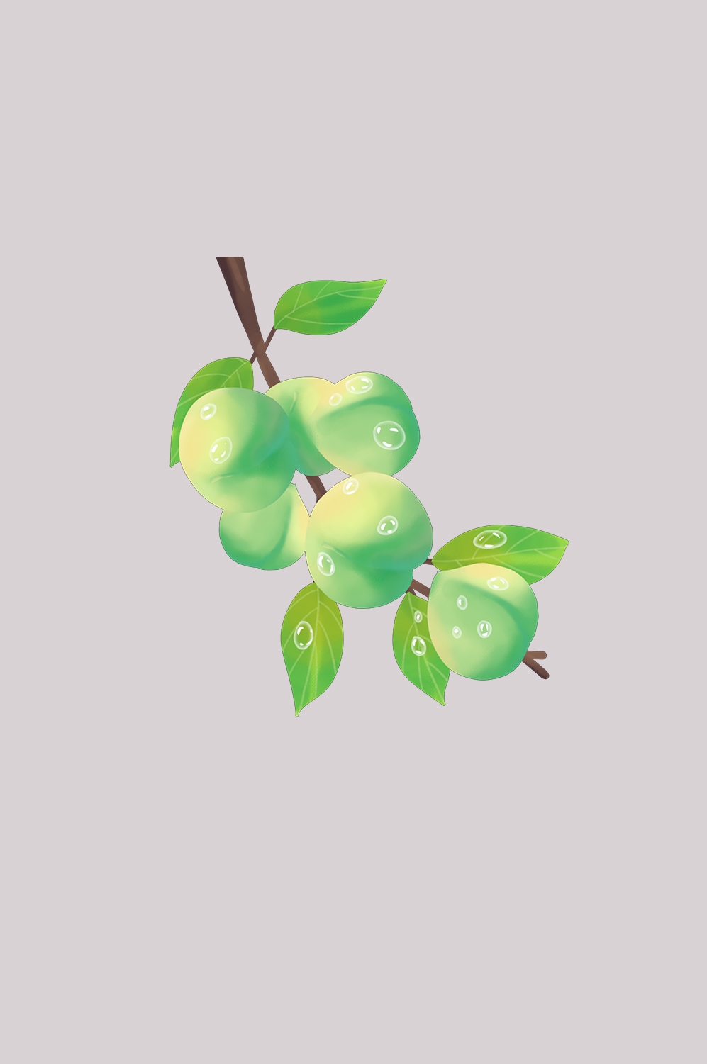 卡通手绘水果青梅图案素材图片装饰插画免抠83