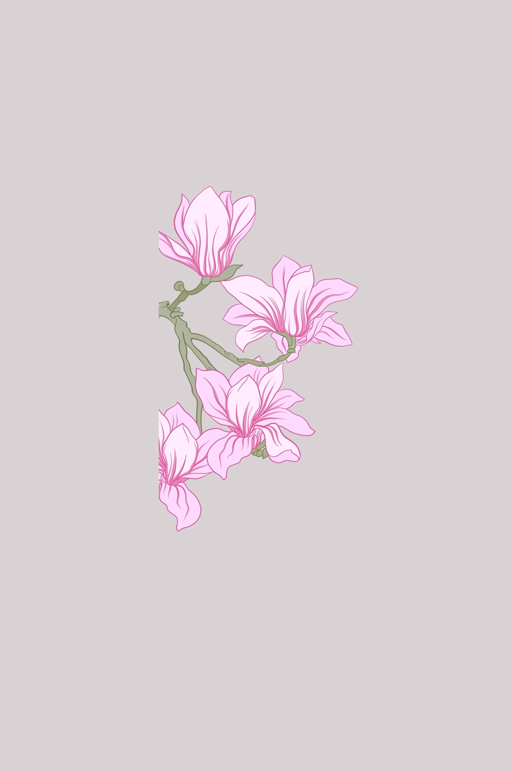 手绘淡雅玉兰花枝花朵装饰元素插图免抠素材23