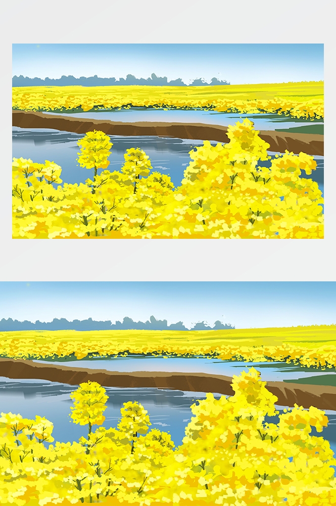 油菜花开田野风景背景插画图片banner海报36