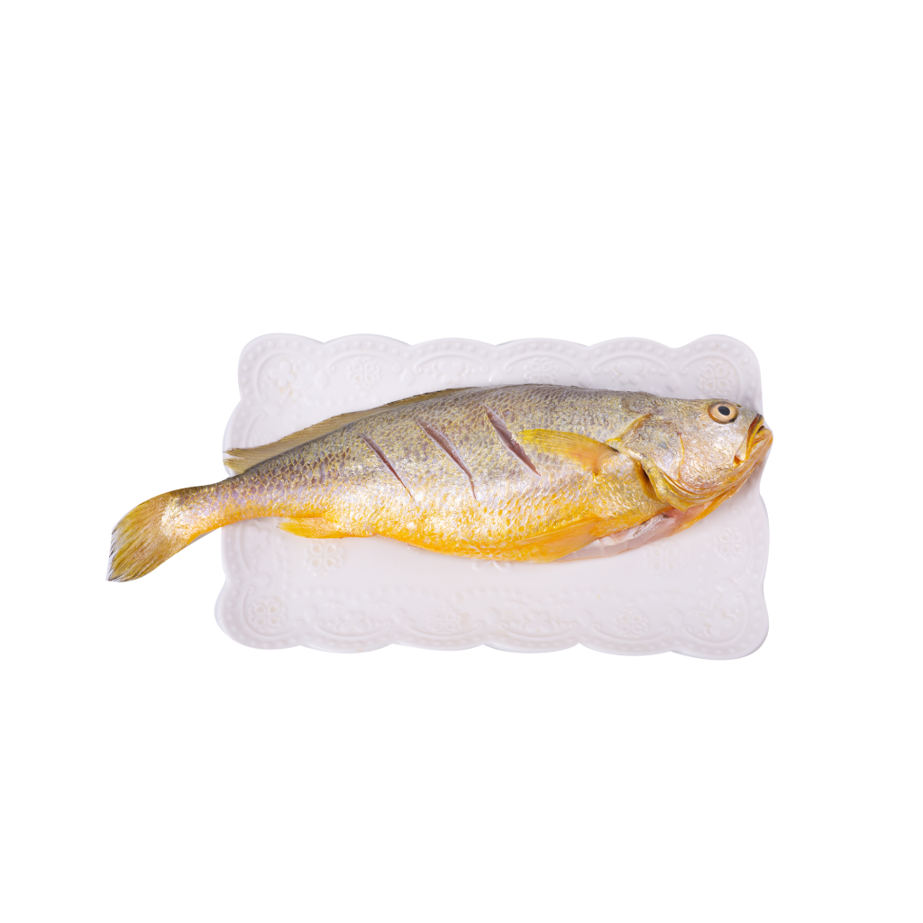 海鲜食材带鱼黄鱼素材图片元素插图免抠55