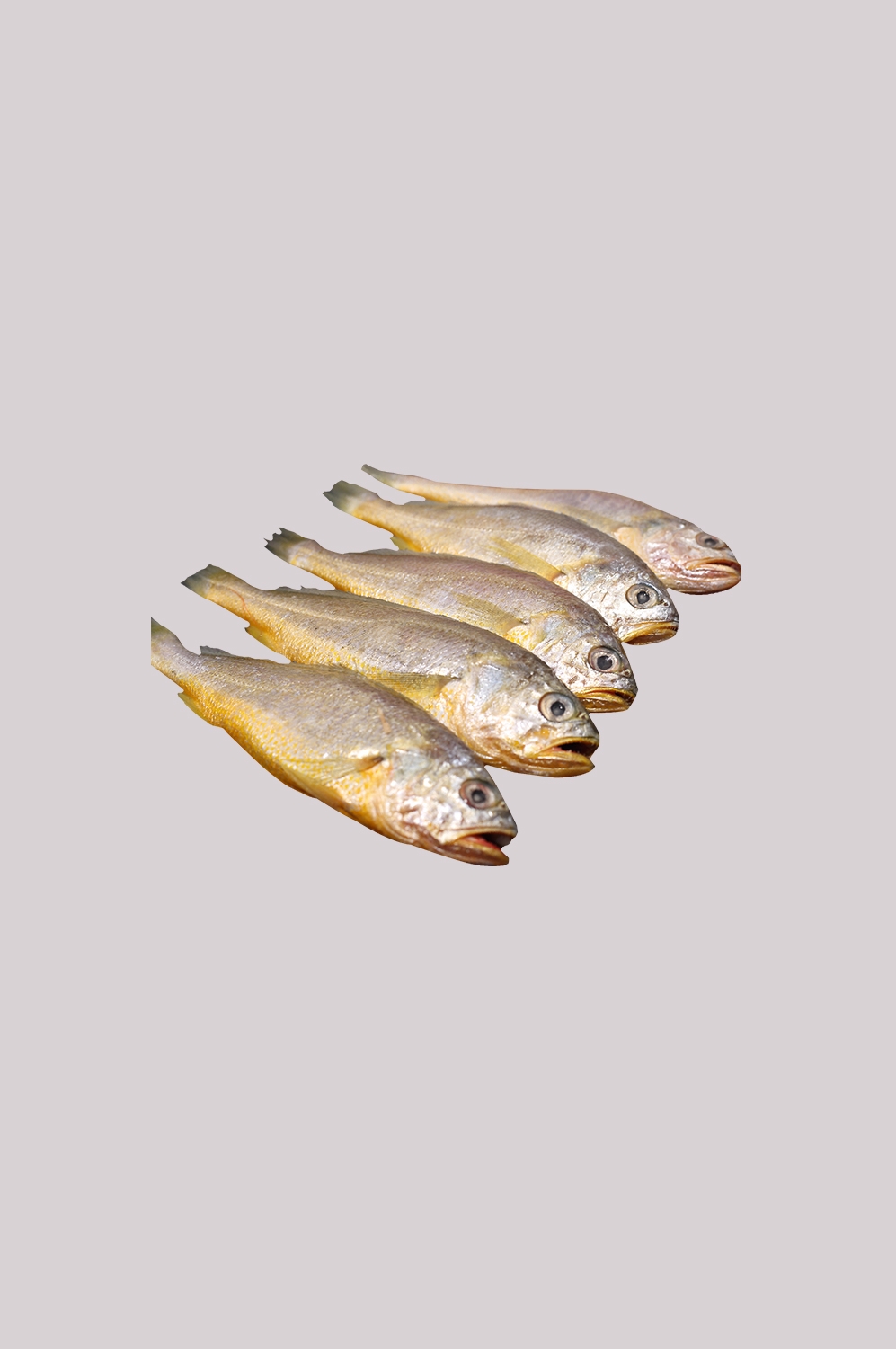 海鲜食材带鱼黄鱼素材图片元素插图免抠5
