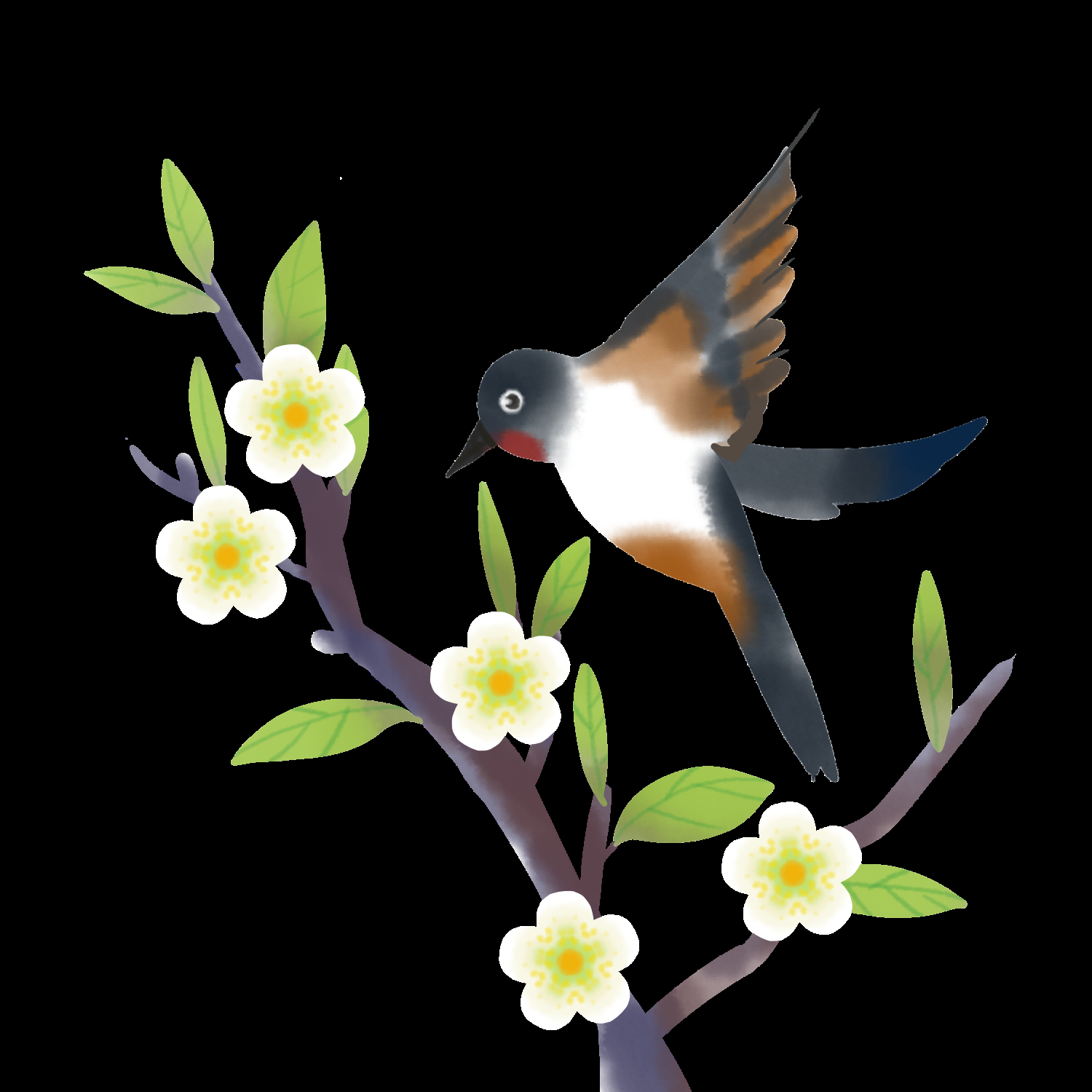 水彩手绘小鸟树枝花枝上的小鸟插画素材免抠9