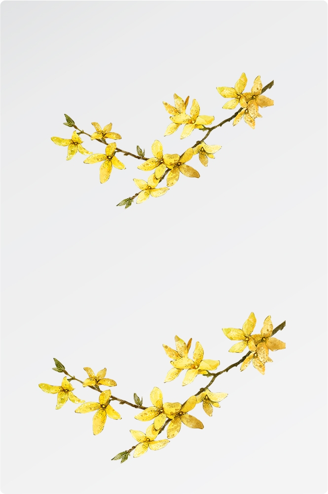 卡通手绘桂花花枝图案素材元素48