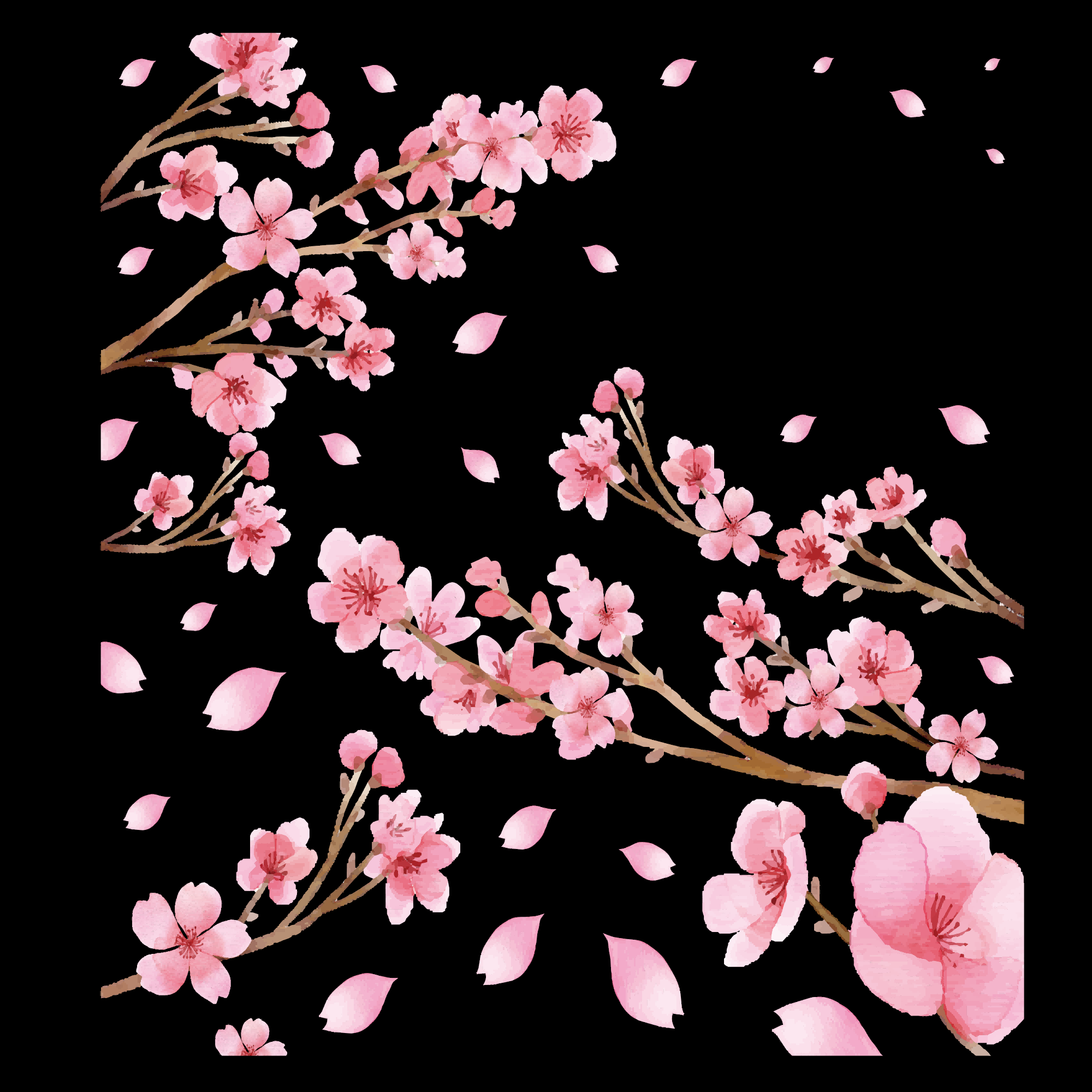 桃花素材图中国风海报设计桃树花枝透明背景49