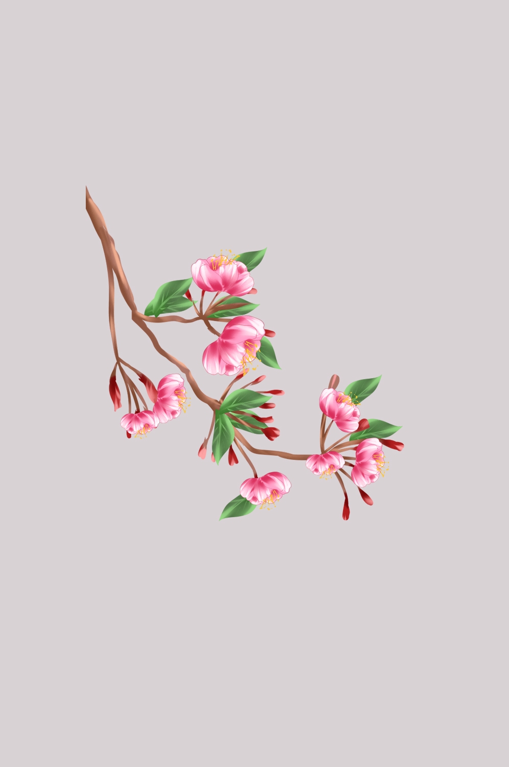 海棠花免抠元素装饰图案插画4