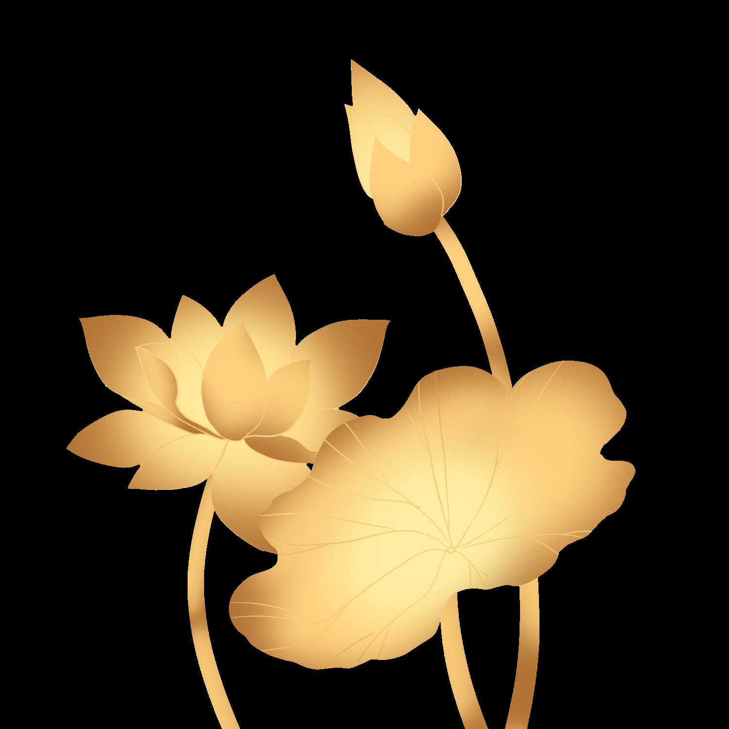金色莲花装饰元素免抠素材21
