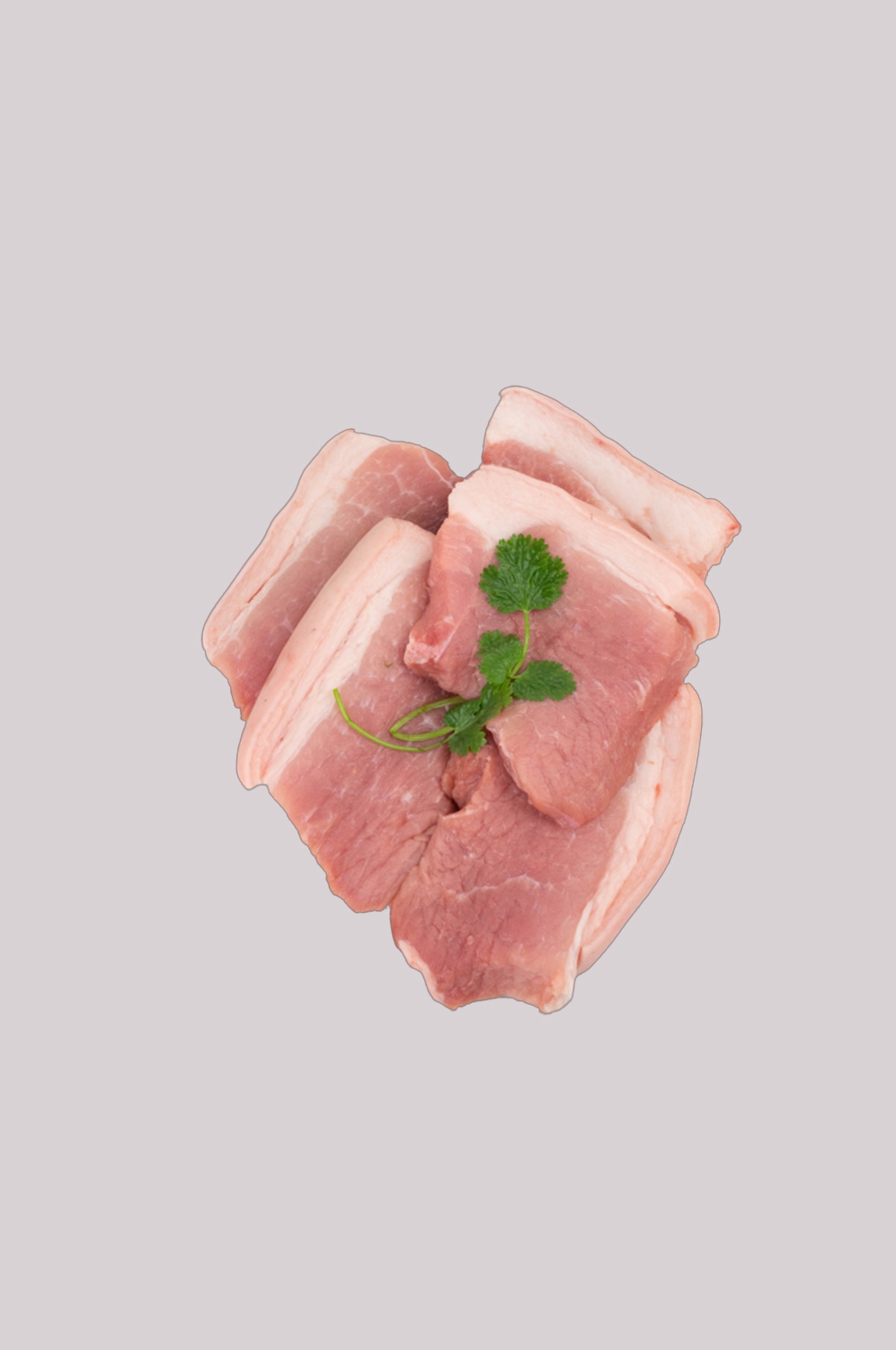 猪肉五花肉瘦肉排骨插画元素免抠素材22
