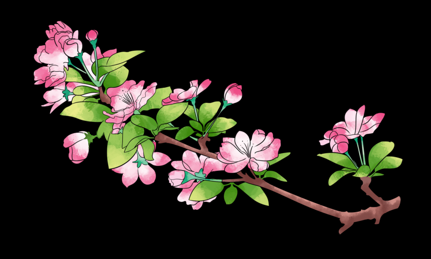 海棠花免抠元素装饰图案插画8