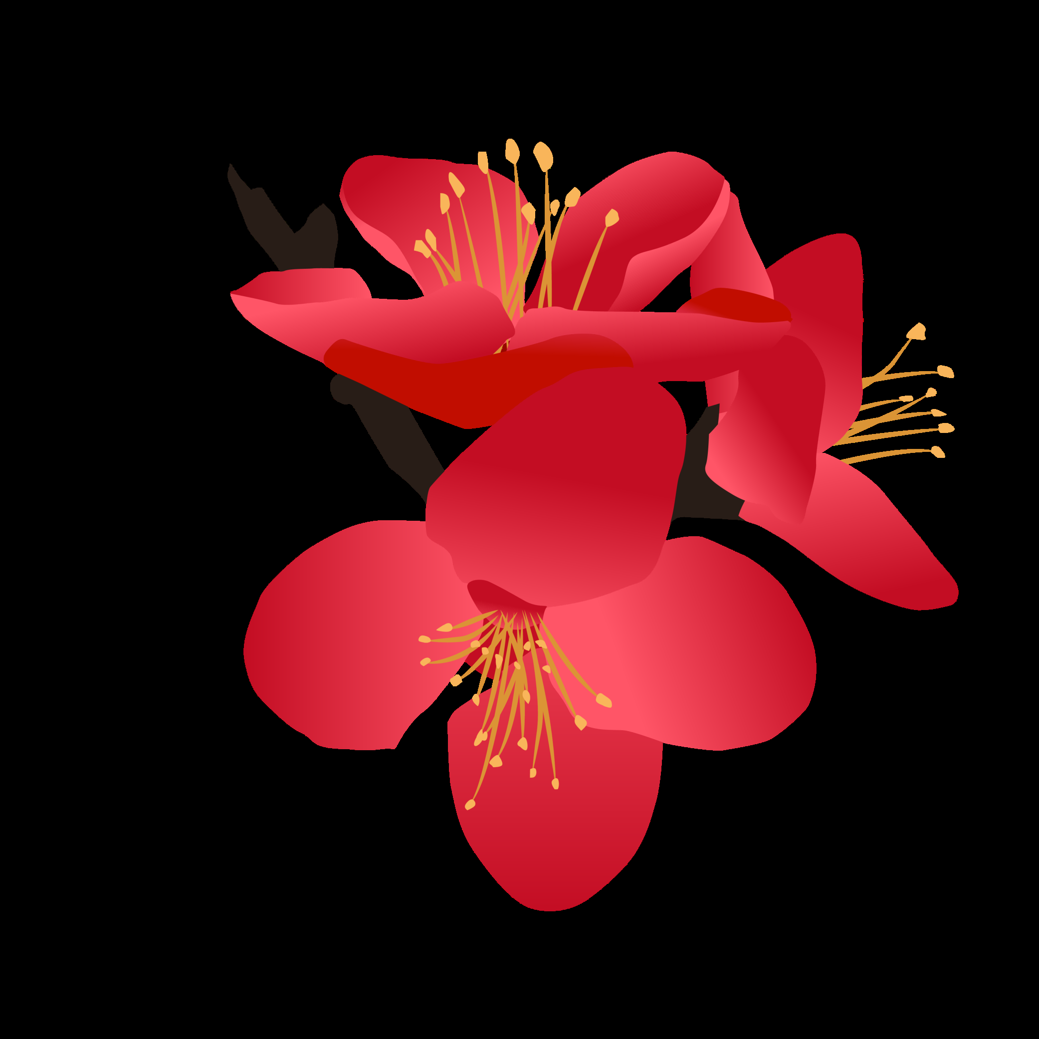 海棠花免抠元素装饰图案插画44