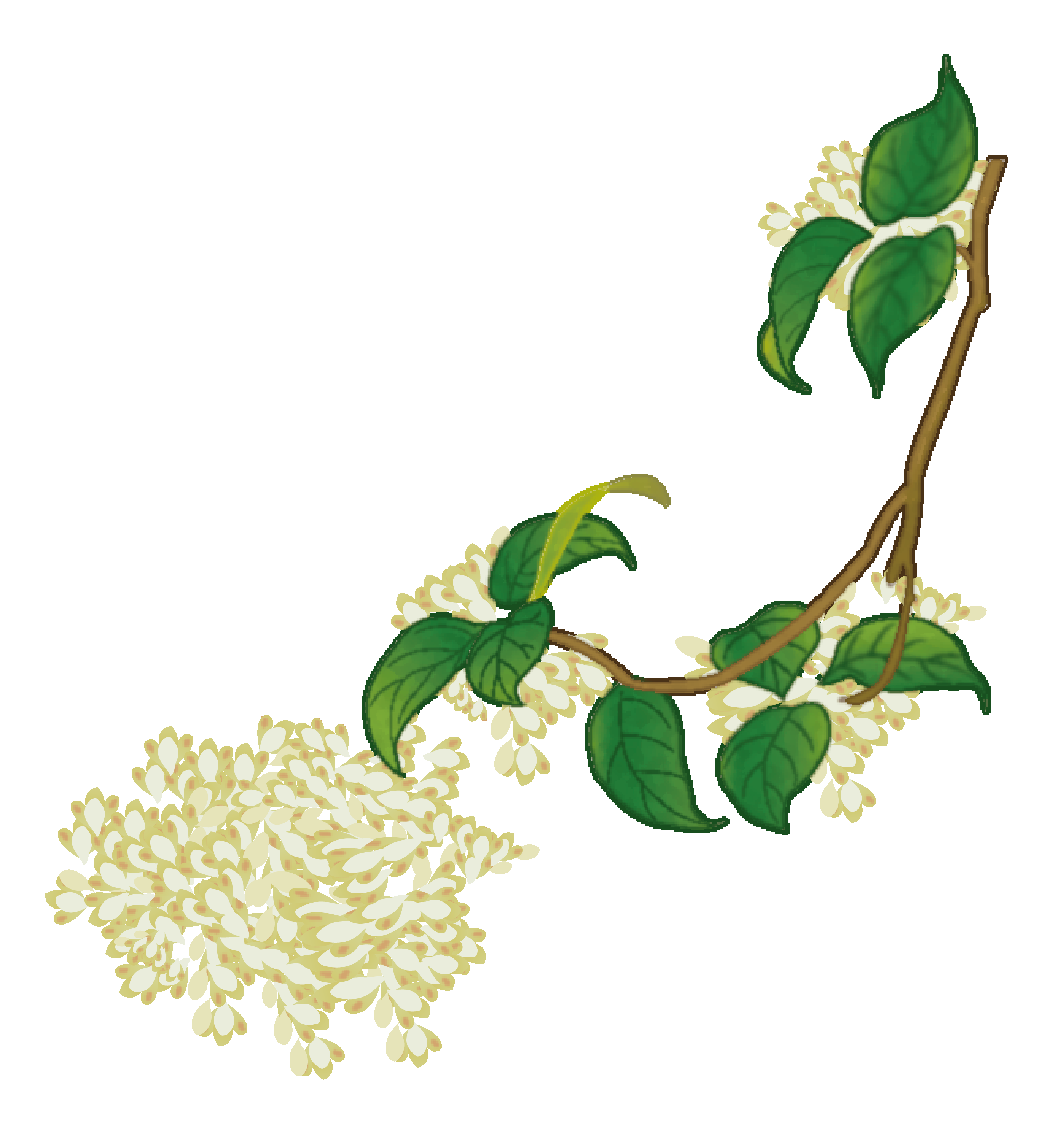 卡通手绘桂花花枝图案素材元素50