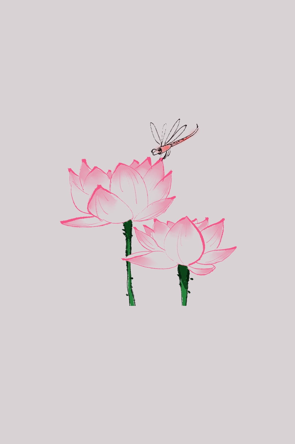 荷叶荷花素材插画装饰元素透明背景免抠素材48