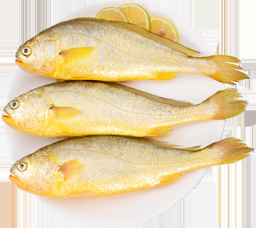 海鲜食材带鱼黄鱼素材图片元素插图免抠31