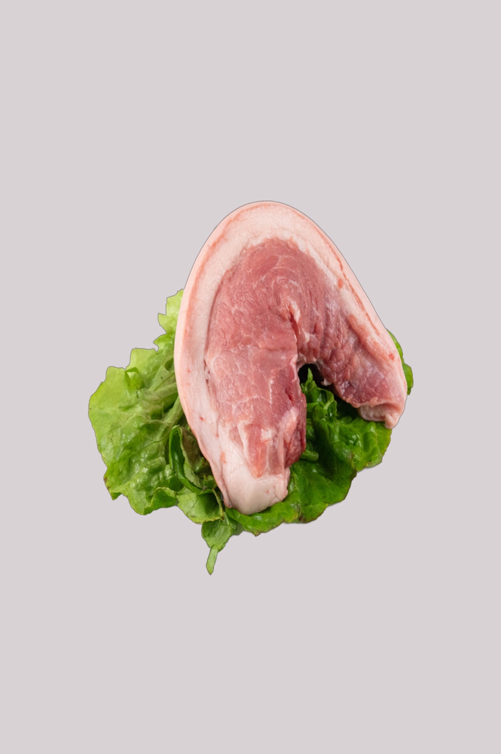猪肉五花肉瘦肉排骨插画元素免抠素材37