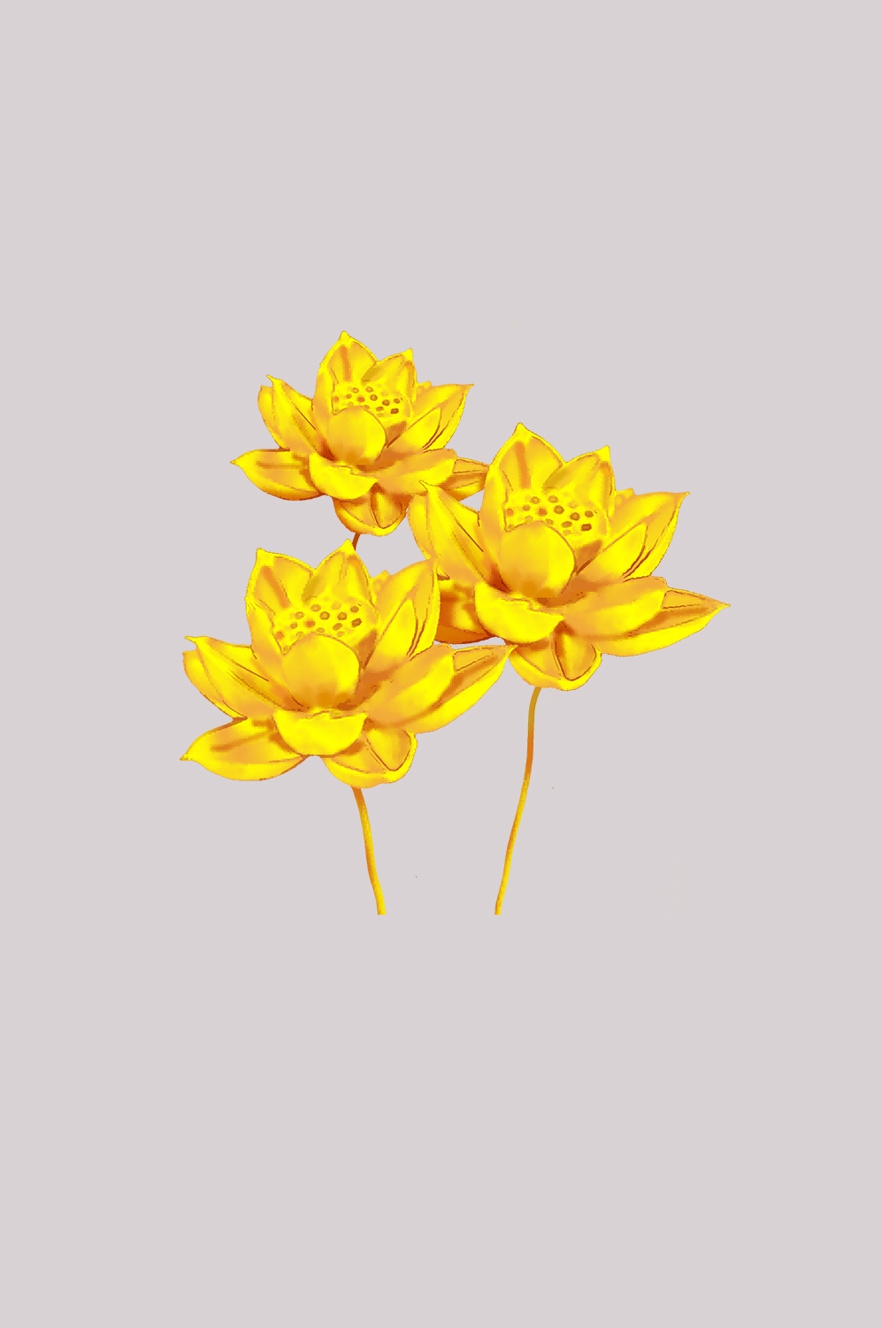 金色莲花装饰元素免抠素材43