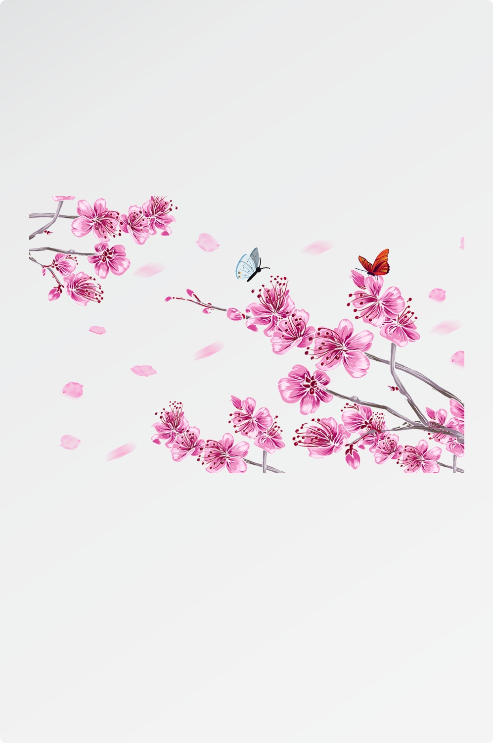 唯美樱花花树花枝樱花飘落图片装饰插图免抠52