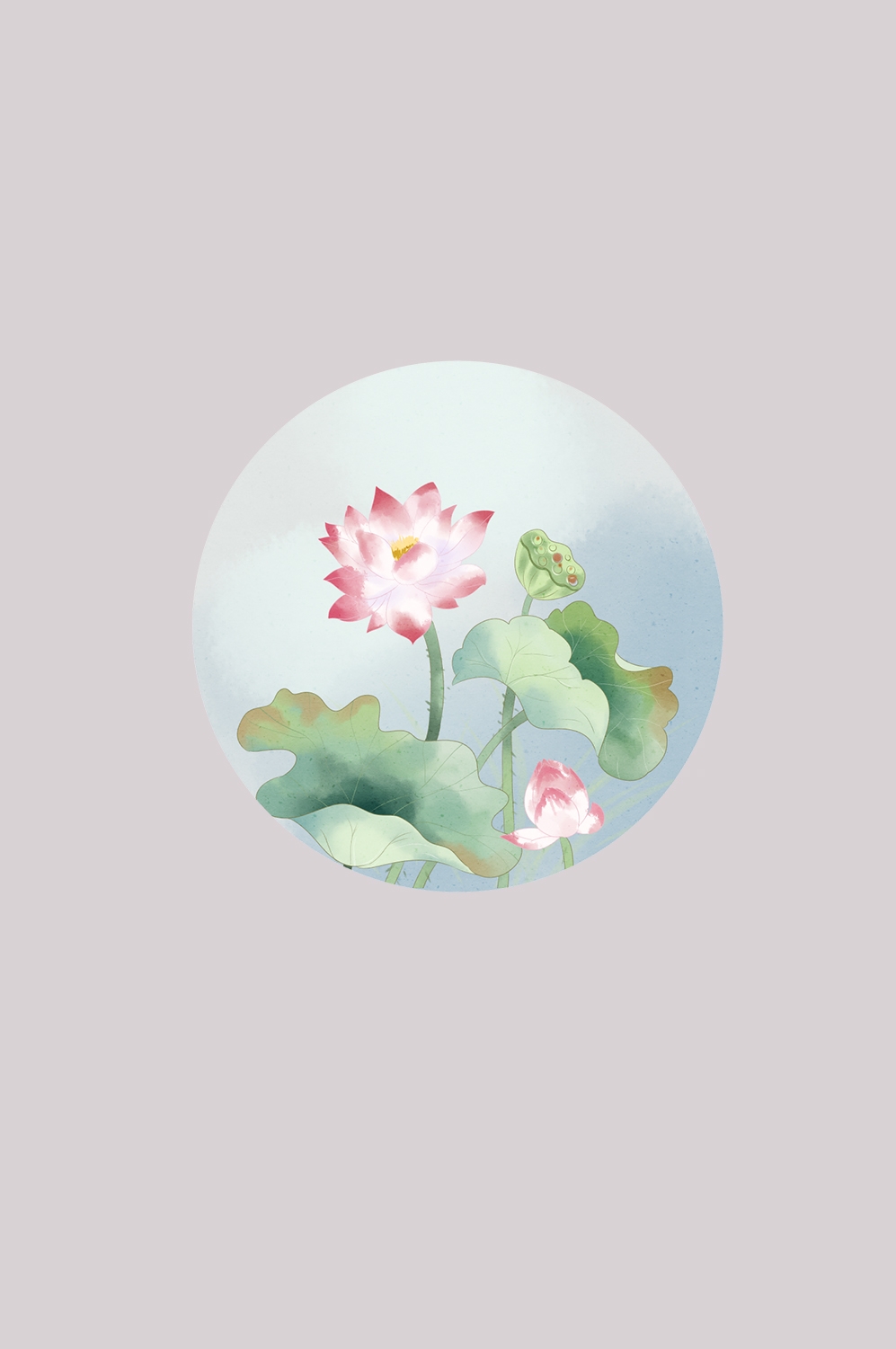 荷叶荷花素材插画装饰元素透明背景免抠素材34