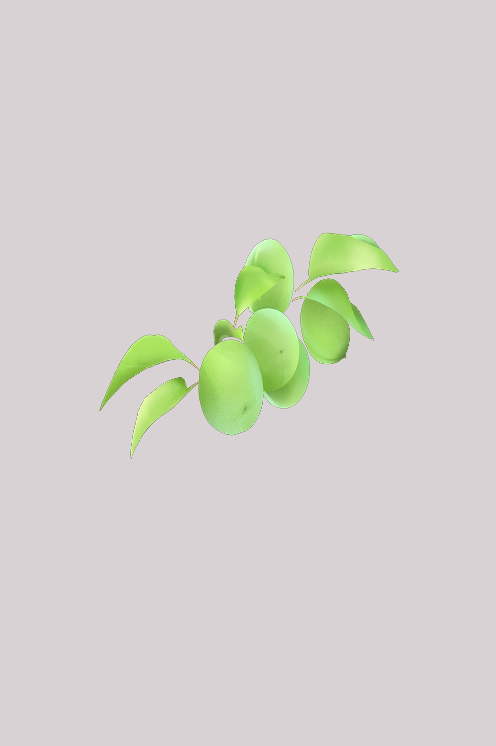 卡通手绘水果青梅图案素材图片装饰插画免抠78