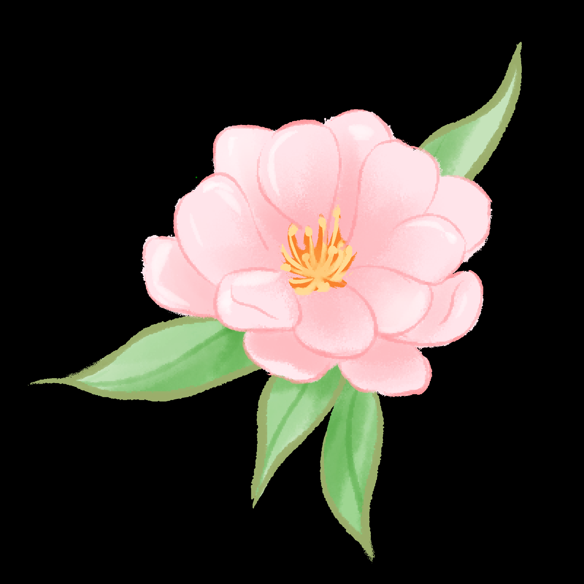 海棠花免抠元素装饰图案插画7