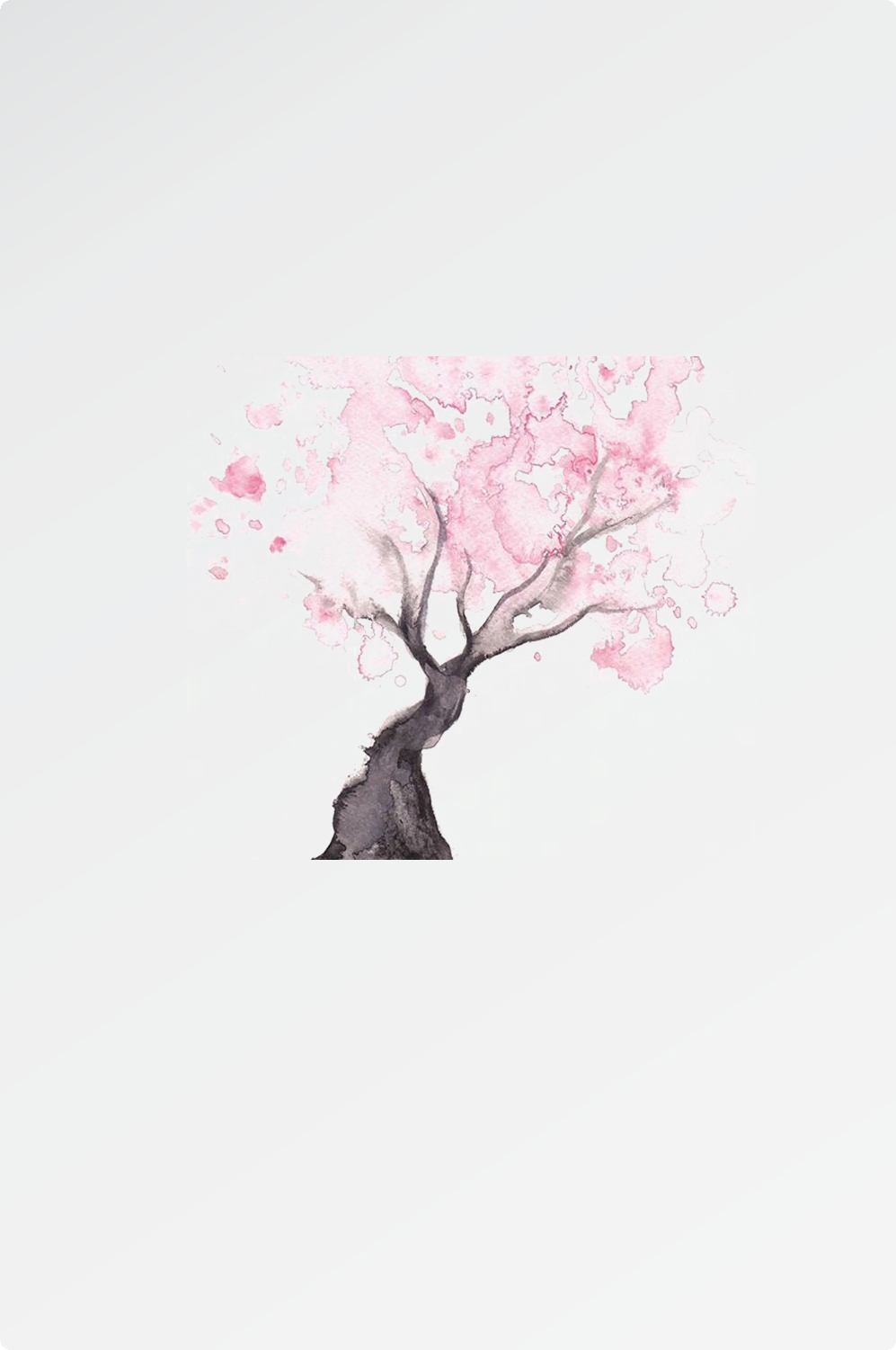 唯美樱花花树花枝樱花飘落图片装饰插图免抠38