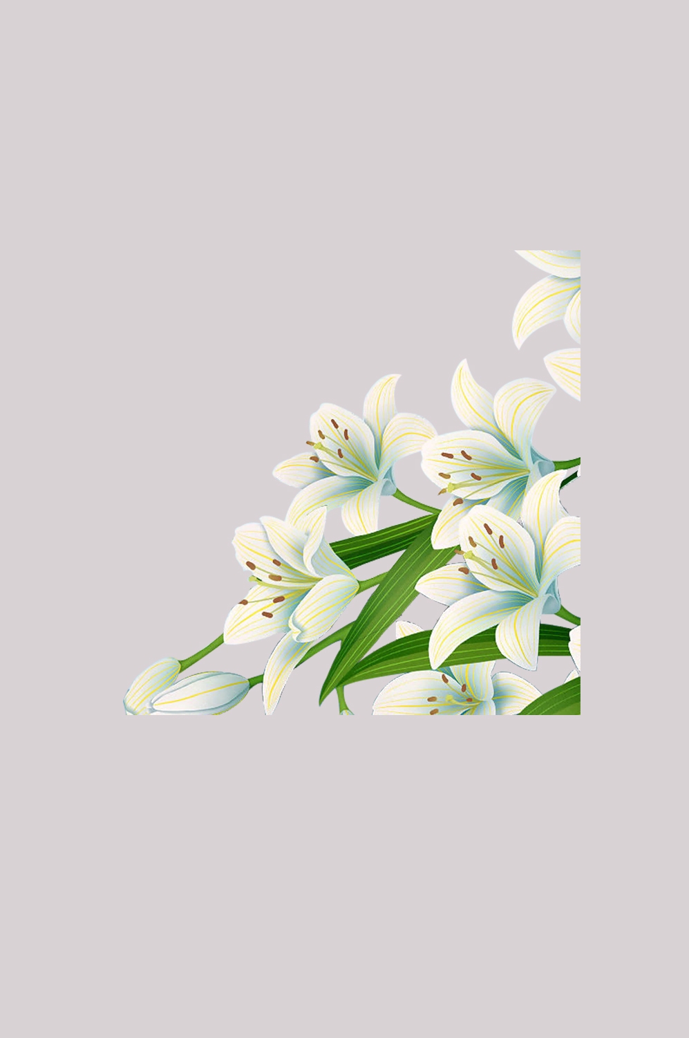 手绘淡雅玉兰花枝花朵装饰元素插图免抠素材31
